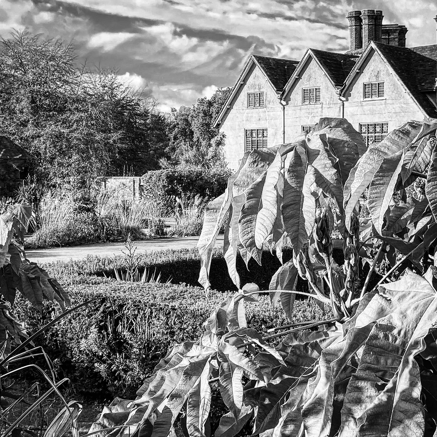 Foliage forms and textures in the Carolean Garden at Packwood House.