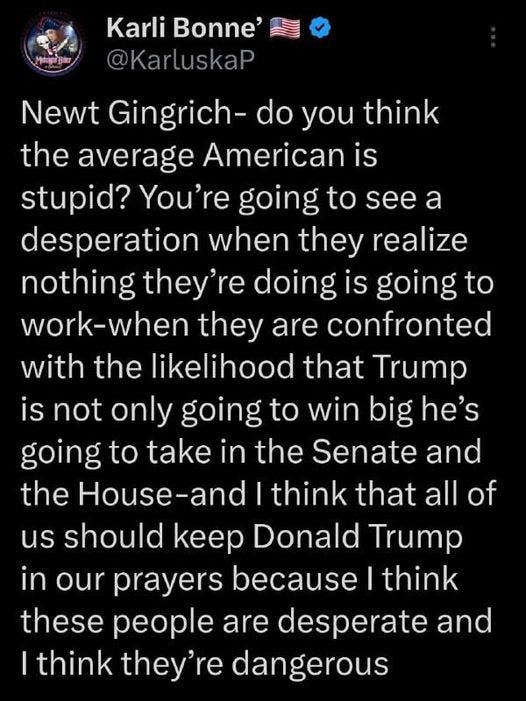 May be an image of text that says 'Mngagar Karli Bonne' @KarluskaP Newt Gingrich- do you think the average American is stupid? You're going to see a desperation when they realize nothing they're doing is going to work-when they are confronted with the likelihood that Trump is not only going to win big he's going to take in the Senate and the House-and and I think that all of us should keep Donald Trump in our prayers because I think these people are desperate and I think they're dangerous'