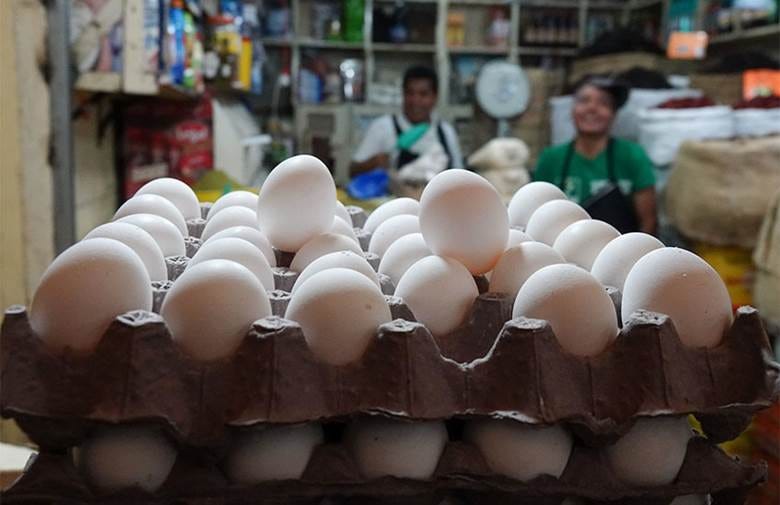 Avian flu outbreak could cause shortages of poultry, eggs