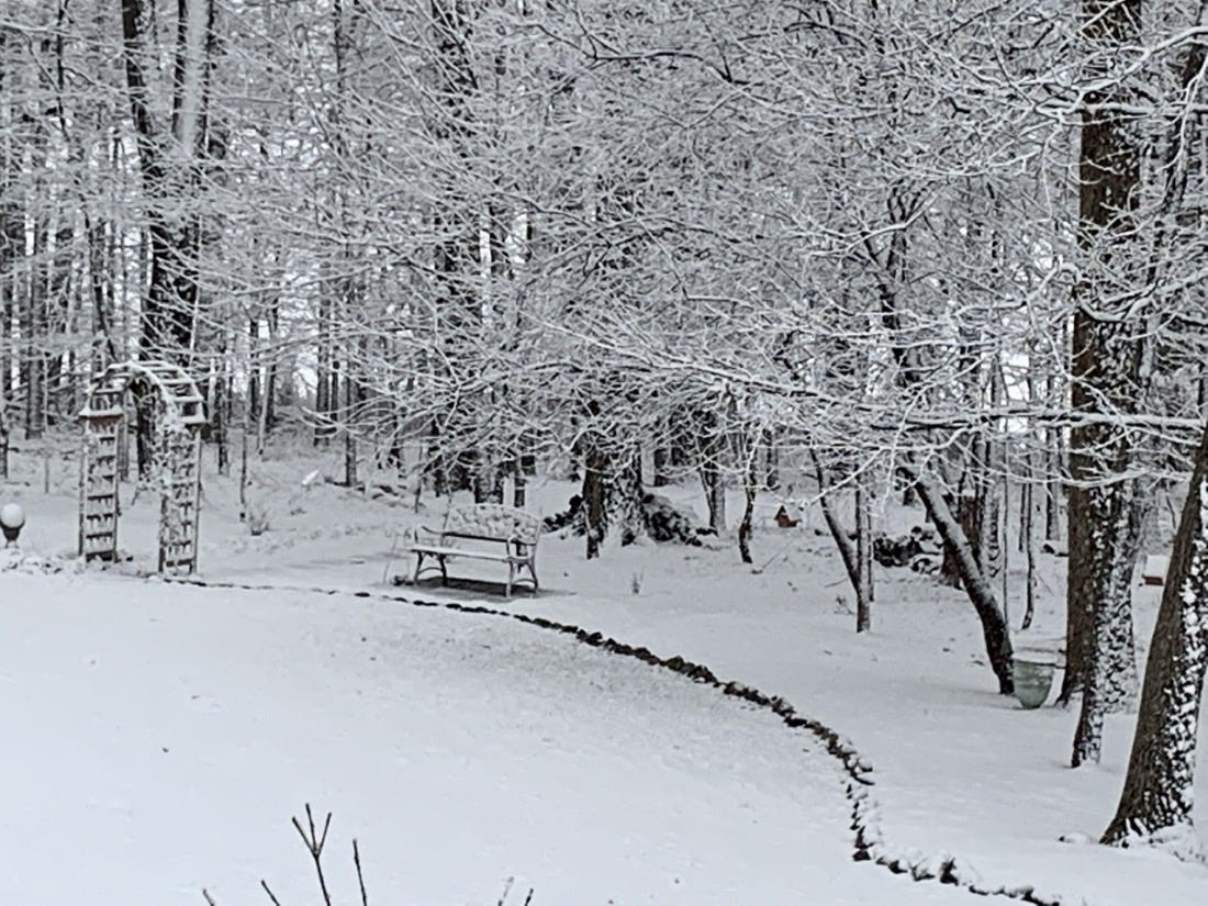 Bench and arbor covered in snow