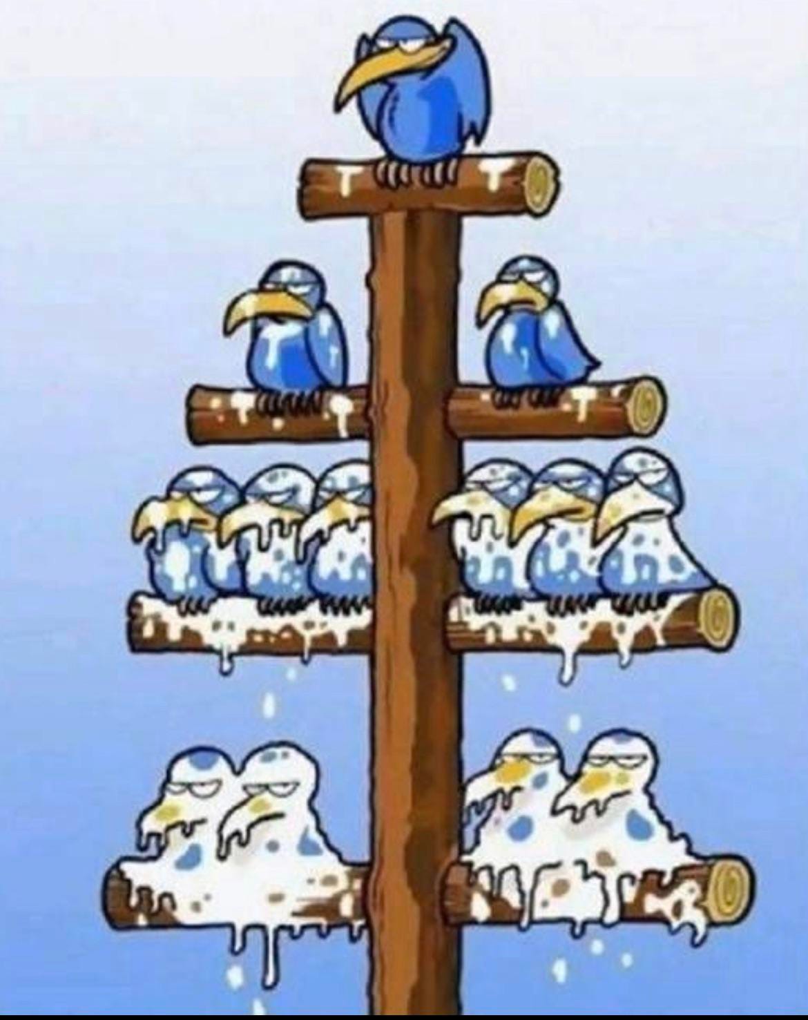 Pyramid Scheme simplified by a cartoon. Merry Christmas Eve to all! 🎄 :  r/antiMLM