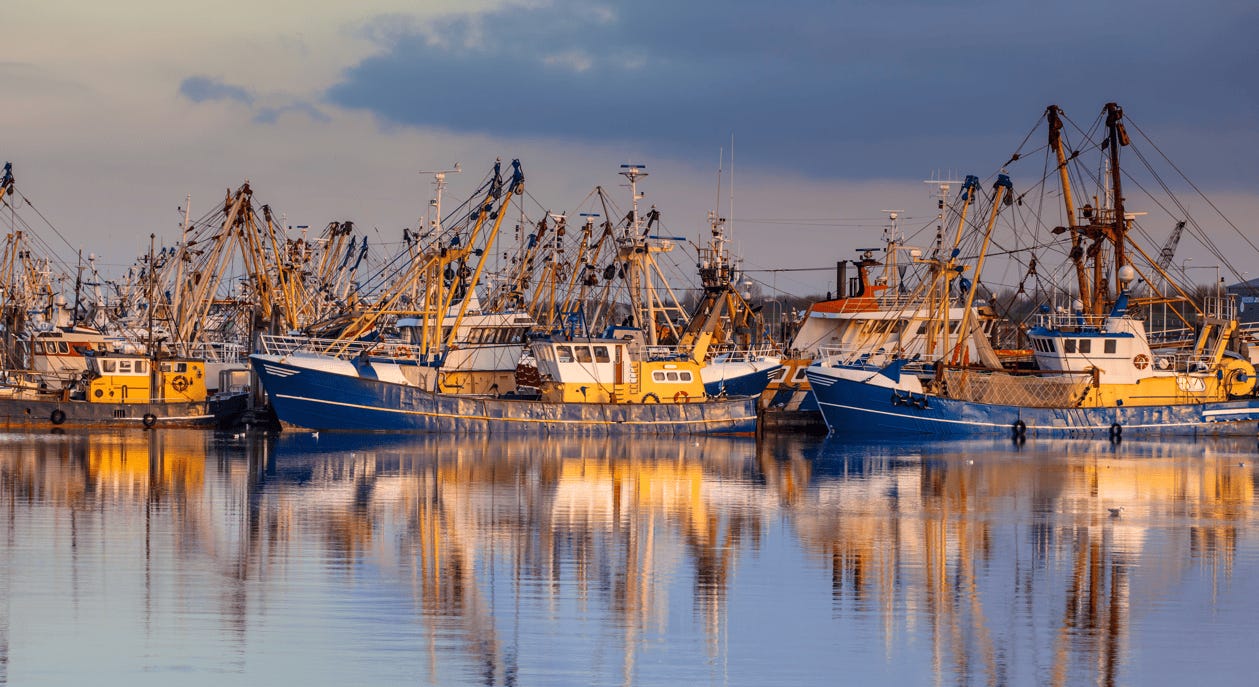 A group of boats in a harbor

Description automatically generated