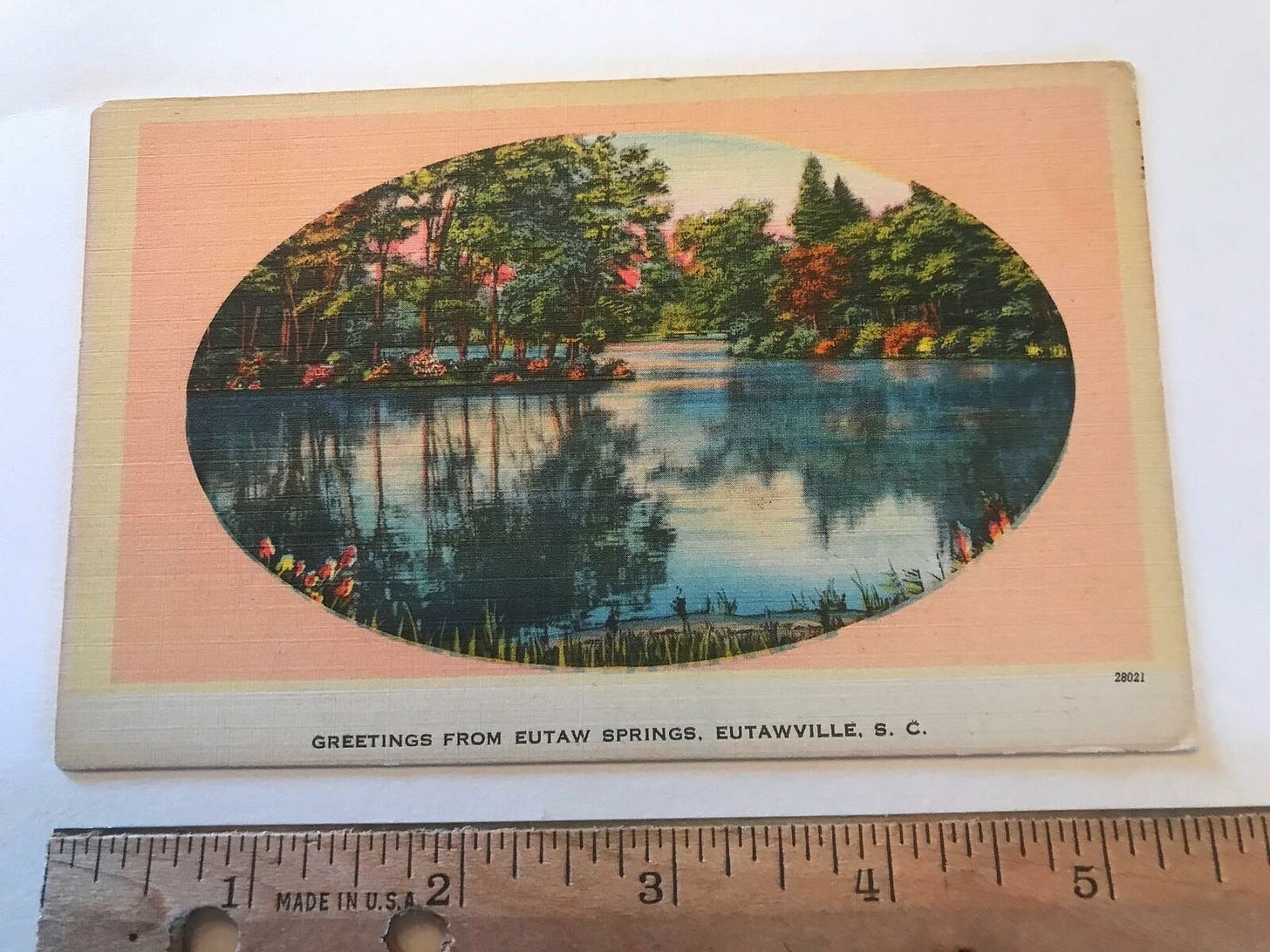 Eutaw Springs Eutawville SC South Carolina lake water trees vtg old  Postcard | eBay