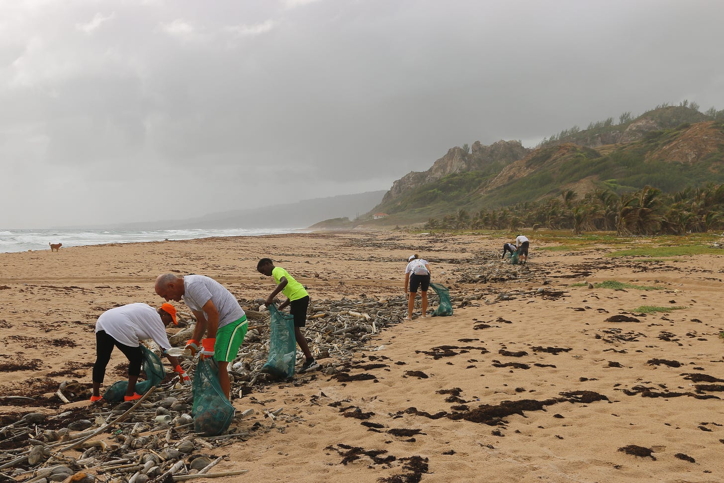 A beach cleanup in Barbados.