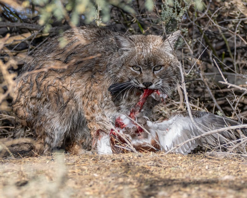 20250211-Sweetwater-110-Edit.jpg