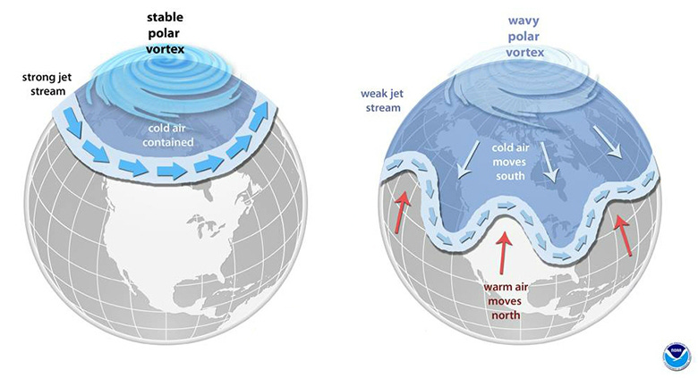 The polar vortex is an area of low pressure and cold air over the polar regions. When winds that keep the colder air over the Arctic (left) become less stable, cold air can dip farther south (right). Credit: NOAA