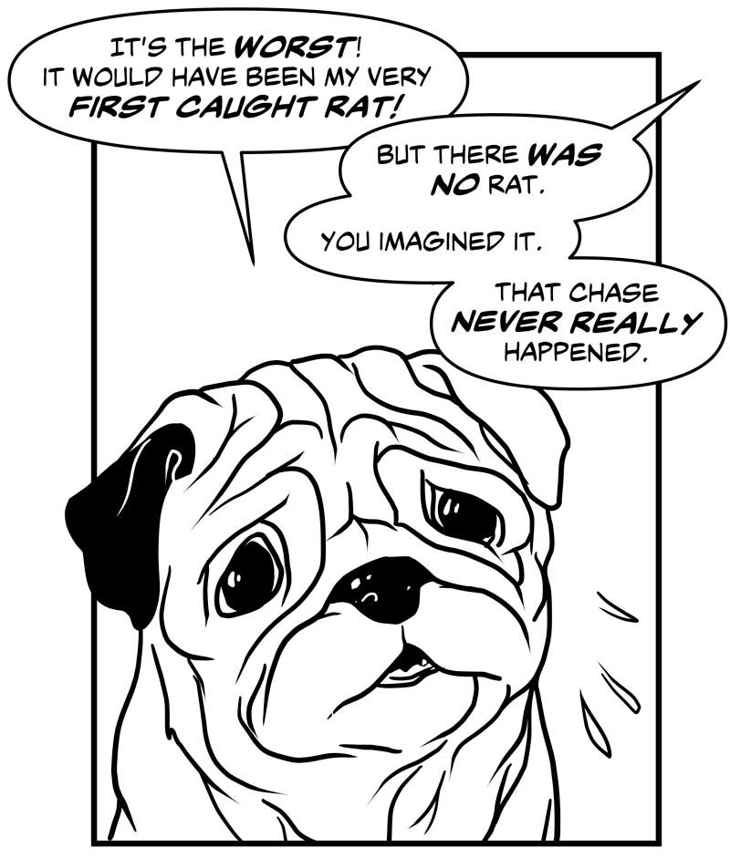 Little Hunterman’s Monday-Wee: Harrybert Simms, Rookie Rat-Chasing Pug— Virtual Training Session 4