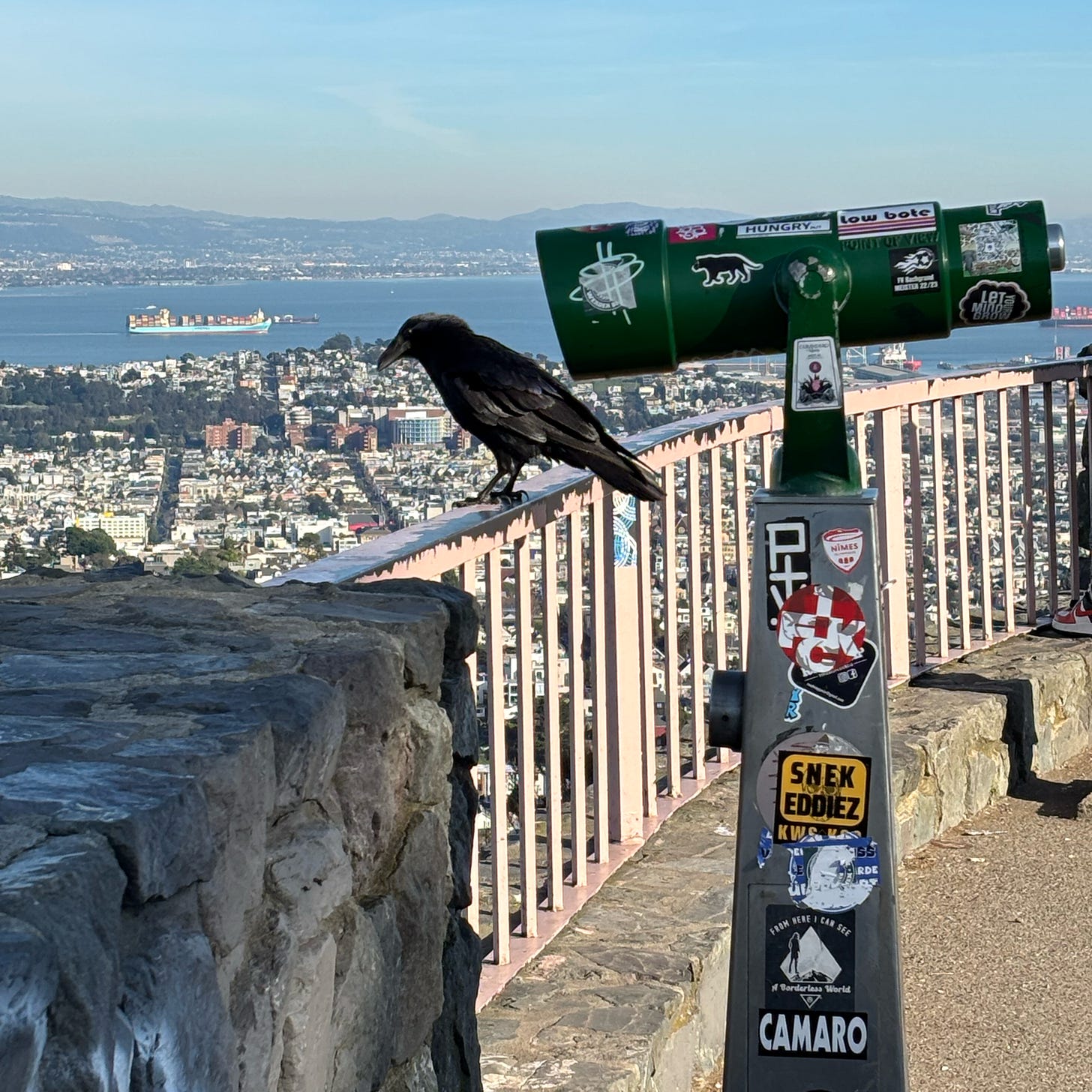 Crow on a ledge next to a viewing device looking out over a city