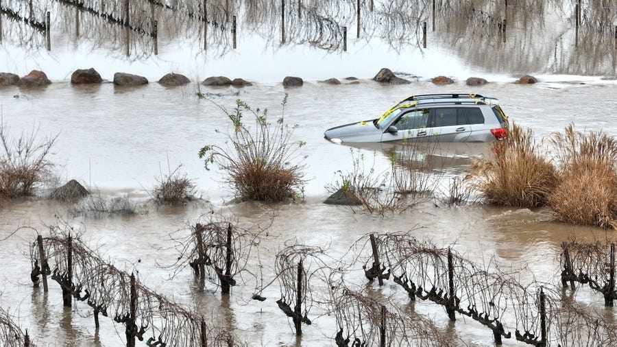 A car sits submerged in floodwater near a vineyard.