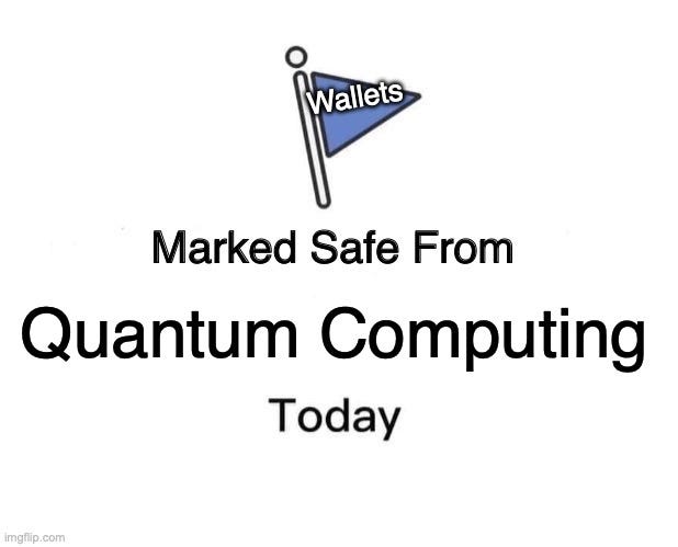 Marked Safe From Meme | Wallets; Quantum Computing | image tagged in memes,marked safe from | made w/ Imgflip meme maker
