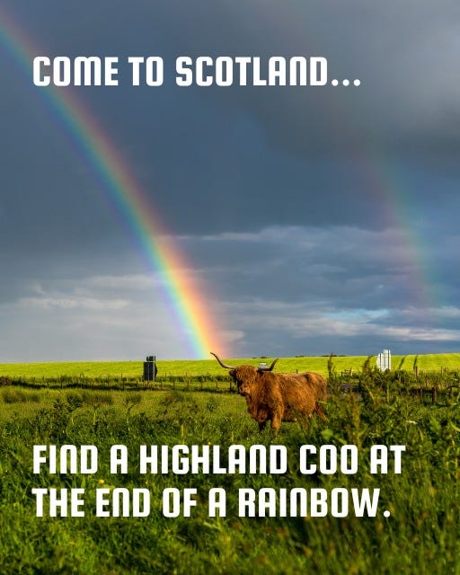 May be an image of text that says "COME TO SCOTLAND... FIND A HIGHLAND coo AT THE END OF A RAINBOW."