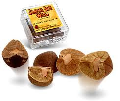 Image result for Mexican jumping beans Image result for Mexican jumping beans