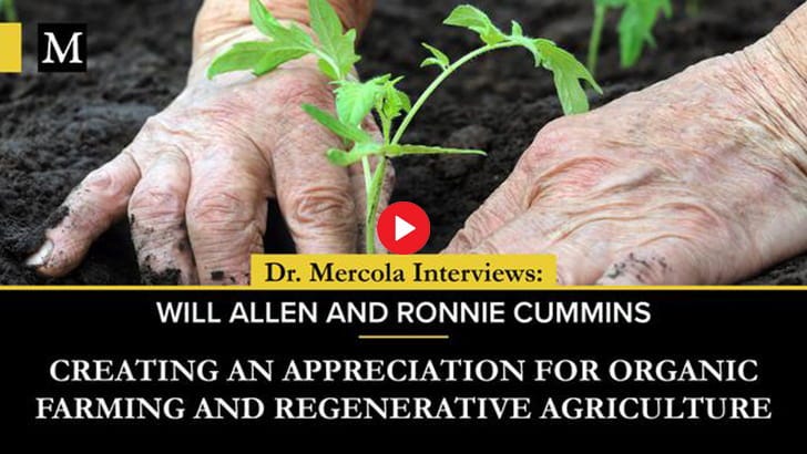 Creating an Appreciation for Organic Farming - Interview with Will Allen and Ronnie Cummins