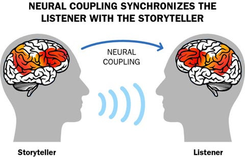 An image that reads Neural Coupling synchronized the listener with the storyteller. There is a storyteller on the left with certain brain activity lit up, with an arrow called neural coupling pointing to the right. The listener on the right, as a result, has similar brain activity