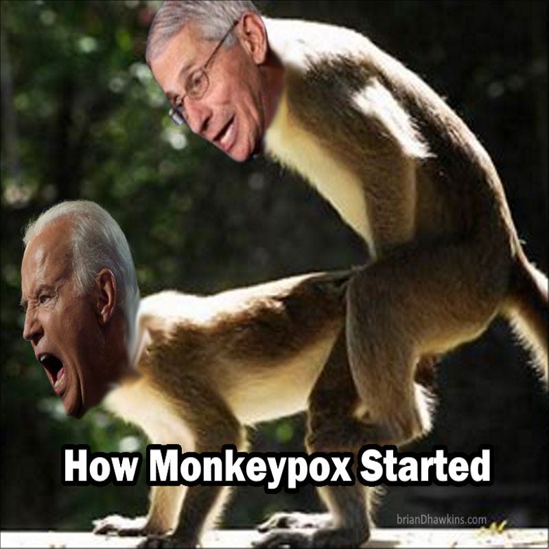 Funny MEME- How Monkeypox Started