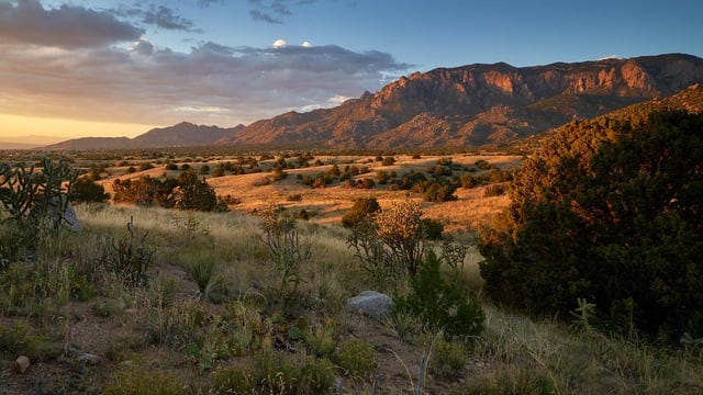 r/Albuquerque - Sandia Mountain Foothills, Albuquerque NM (OC)