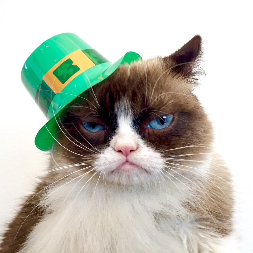 Happy Saint Patrick's Day | Grumpy Cat®