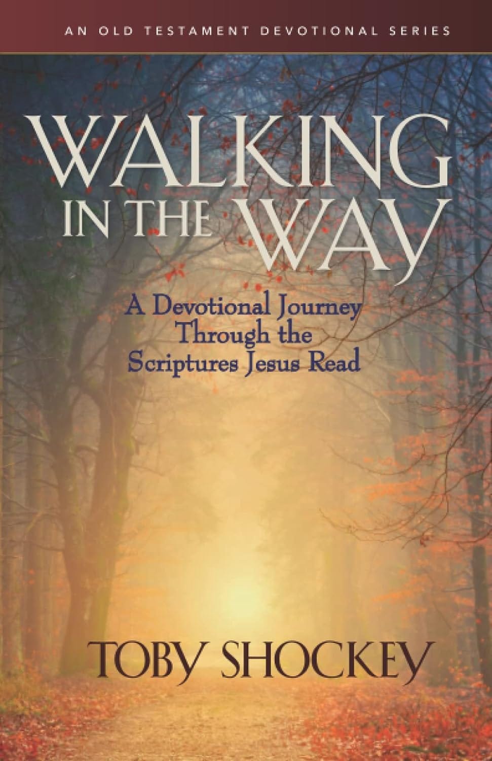 Image of a book cover from Walking in the Way by Toby Shockey.