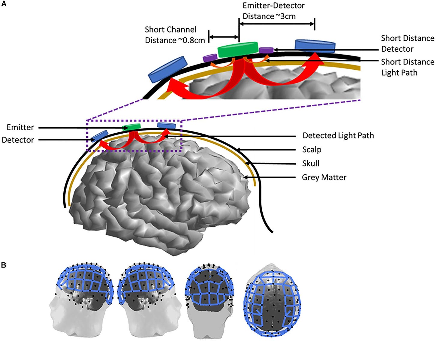 Frontiers | Functional Near-Infrared Spectroscopy and Its Clinical  Application in the Field of Neuroscience: Advances and Future Directions
