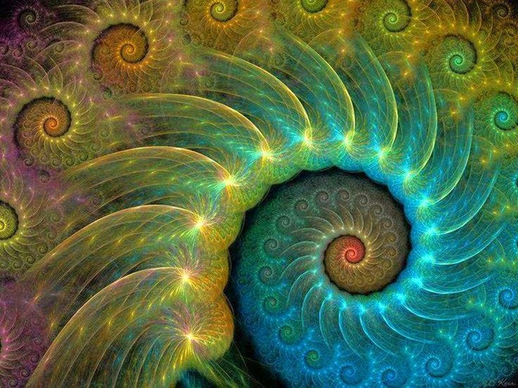 espiral | Fibonacci spiral art, Fractals, Spiral art
