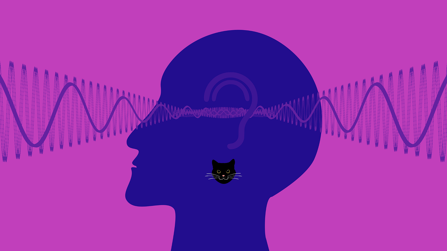 Image of human-like face surrounded by frequencies and a cat face