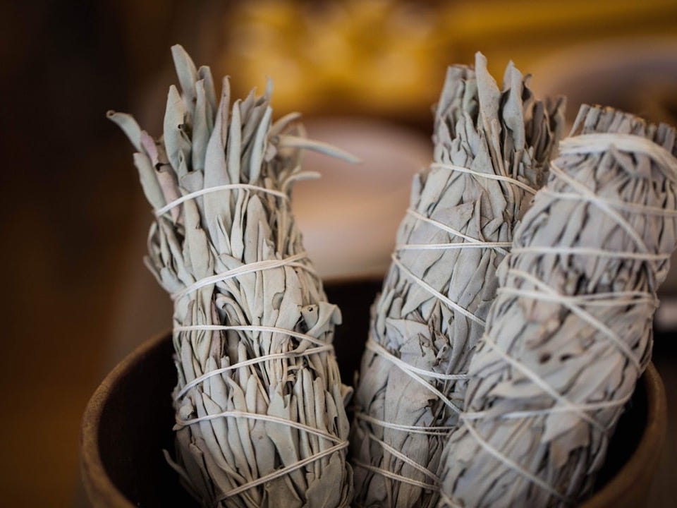 white flowers on brown wooden pot
