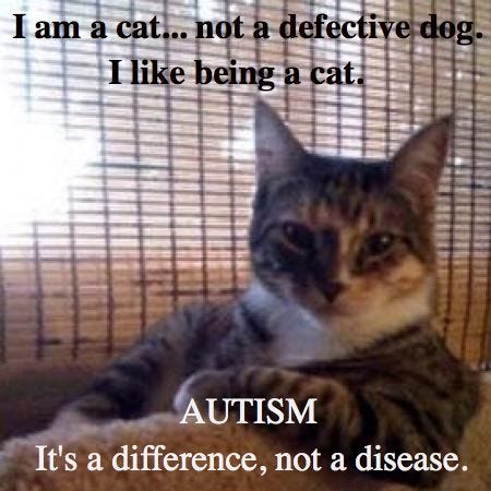 Image result for ASD spectrum and cats Image result for ASD spectrum and cats