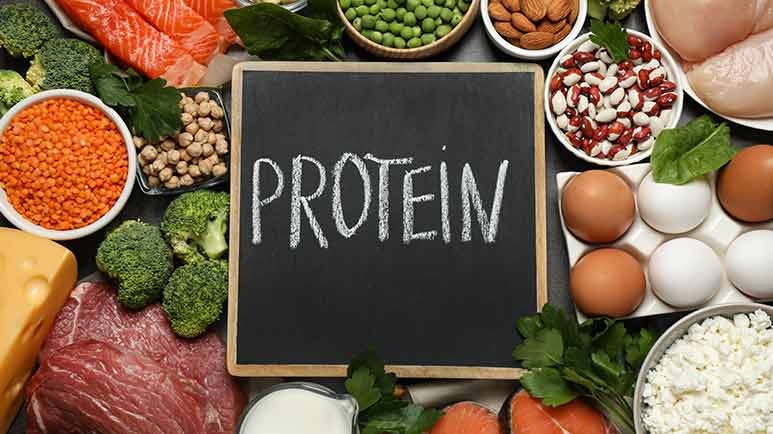 protein sources are not equal