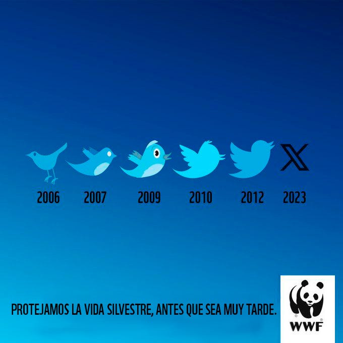 evolución del logo de Twitter hasta transformarse en una X como alegoría de la desaparición de especies
