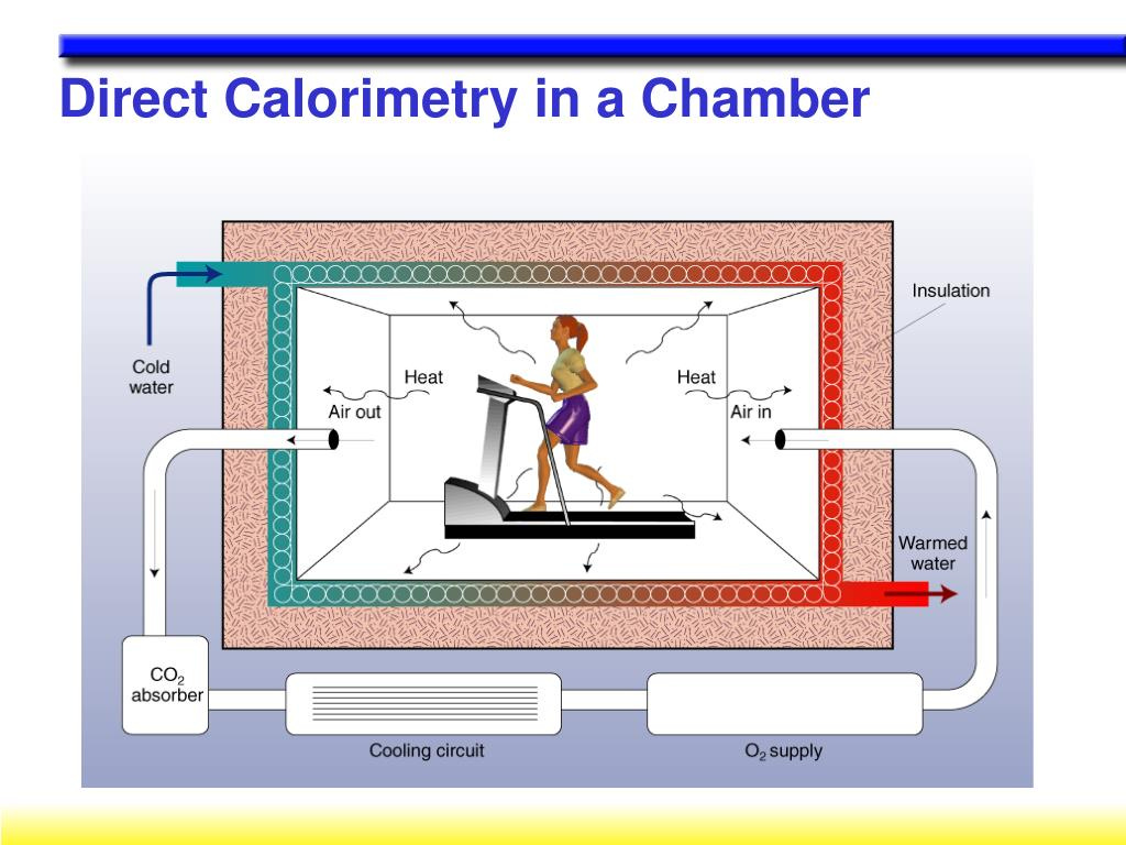 PPT - Measuring Energy Costs of Exercise PowerPoint Presentation, free  download - ID:2193985