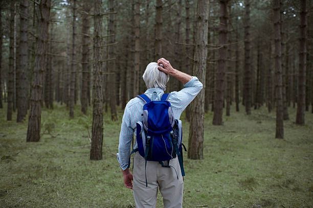 senior hiker lost in forest. - lost in the forest stock pictures, royalty-free photos & images