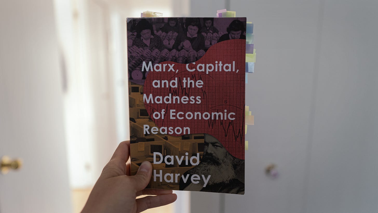 Karl Marx Capital - madness of economic reason