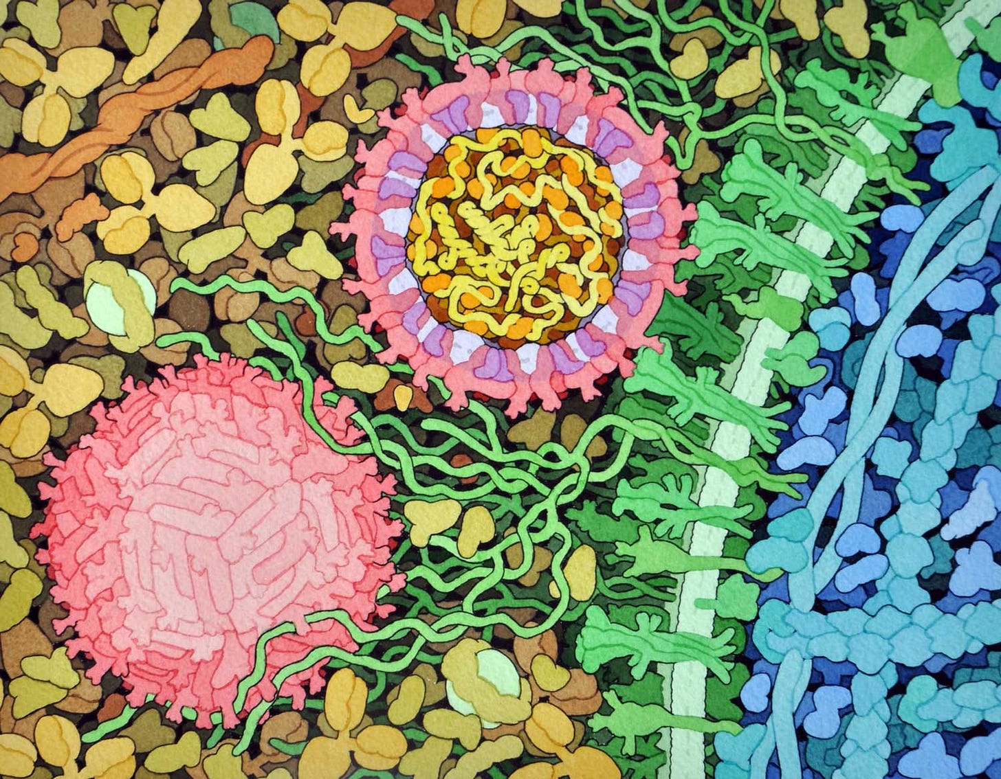 A colorful image of a virus preparing to enter a cell. A colorful image of a virus preparing to enter a cell.