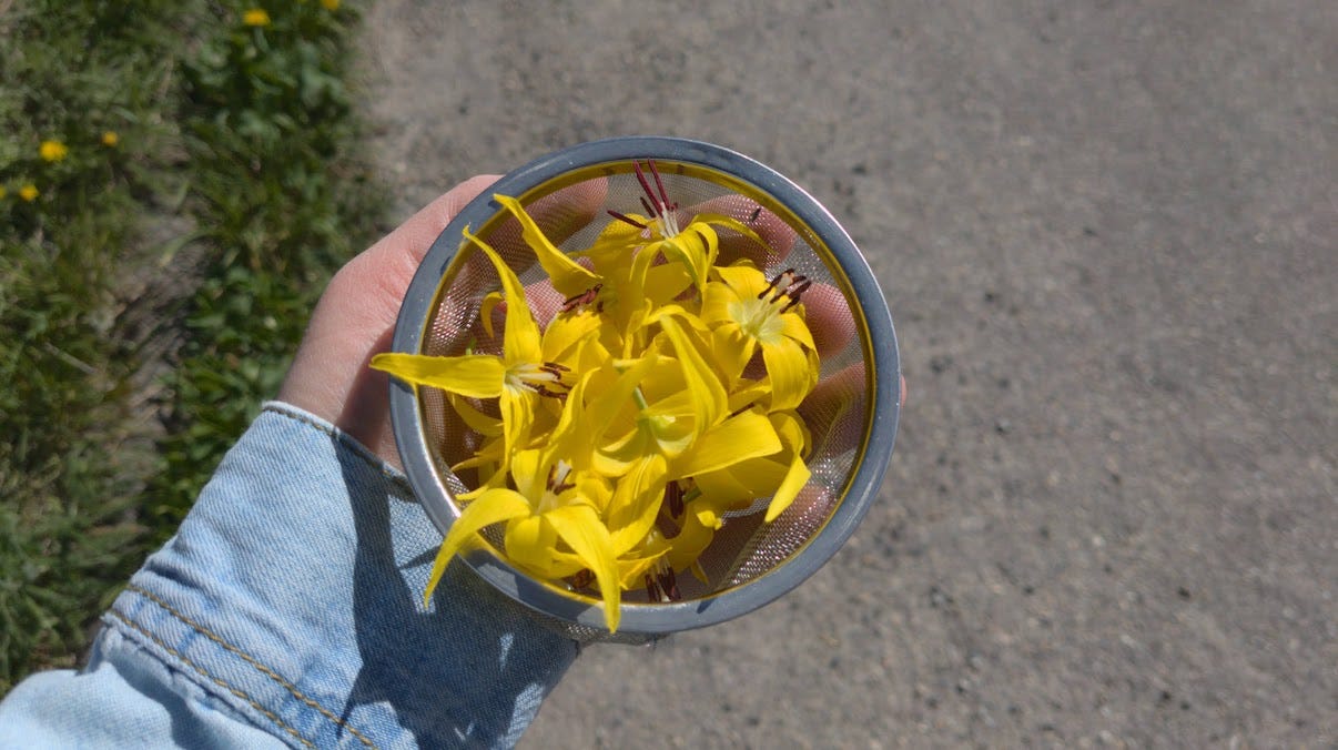 jess picking a few more flowers in a small strainer