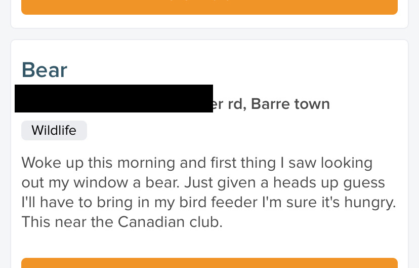 Report in online forum from Barre, Vermont: Person woke up and saw a bear out their window.