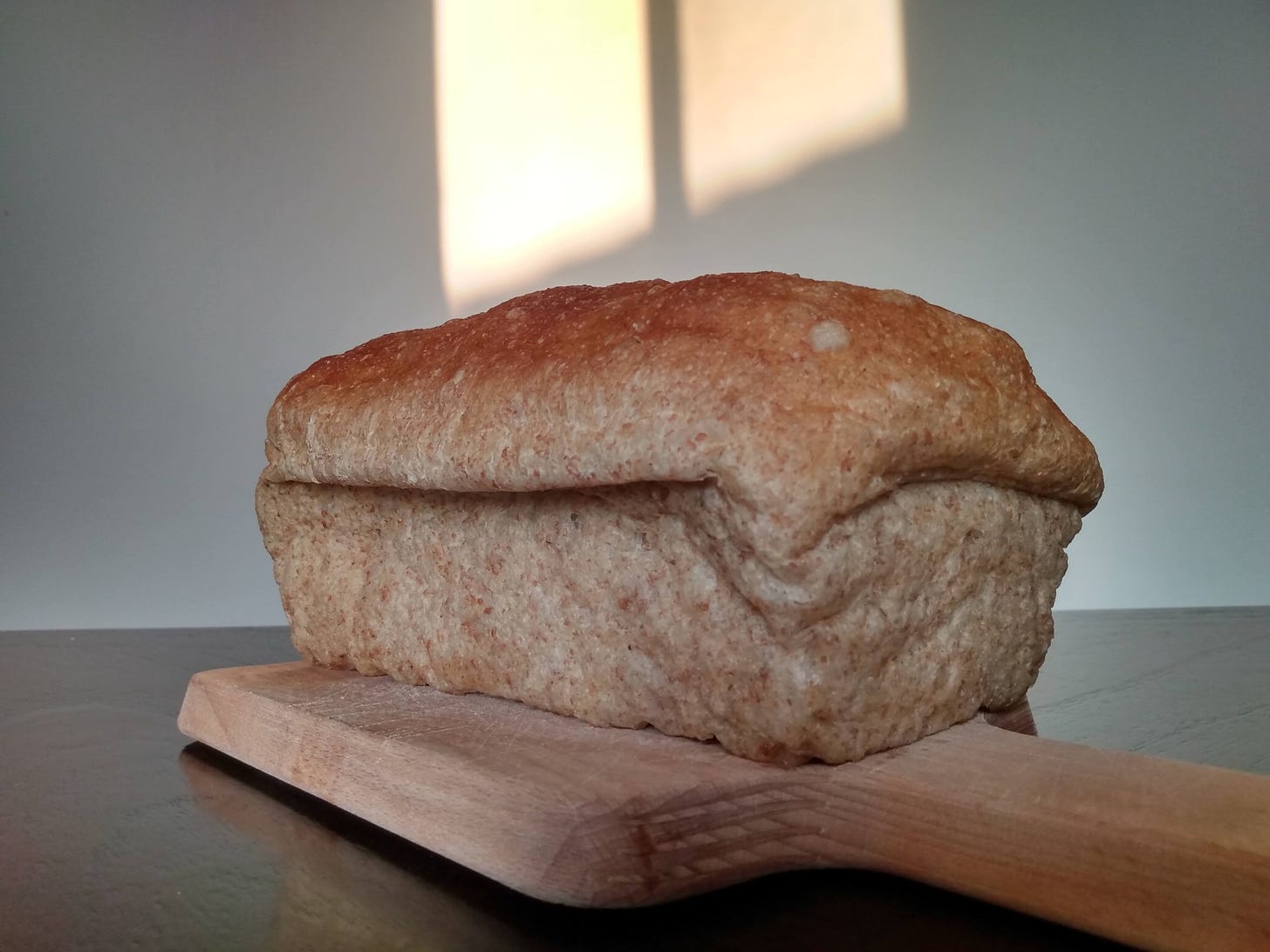 A homemade loaf of bread with golden hour sunset light illuminating the wall behind it.