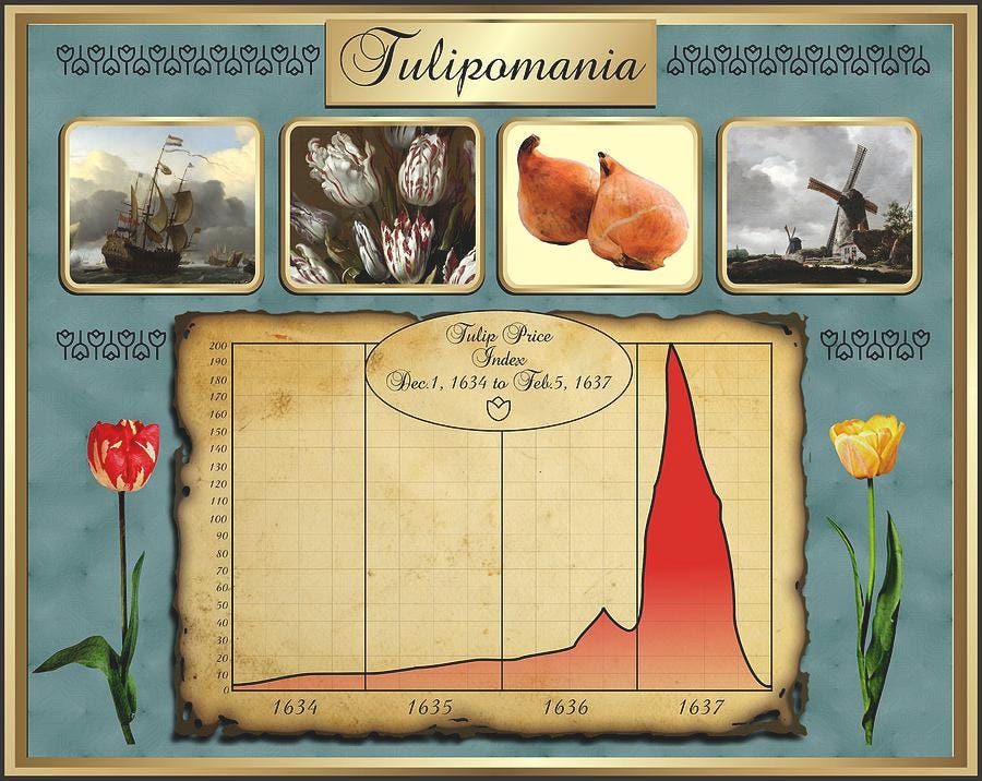 Tout savoir sur la Crise de la Tulipe de 1637 - ALTI TRADING