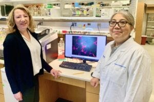 Christine M. Kusminski, Ph.D., Associate Professor of Internal Medicine (left), and Xinxin Yu, M.D., Research Scientist, are studying the effects of the glucose-dependent insulinotropic polypeptide receptor (GIPR) on fat cells as a possible therapy for obesity.