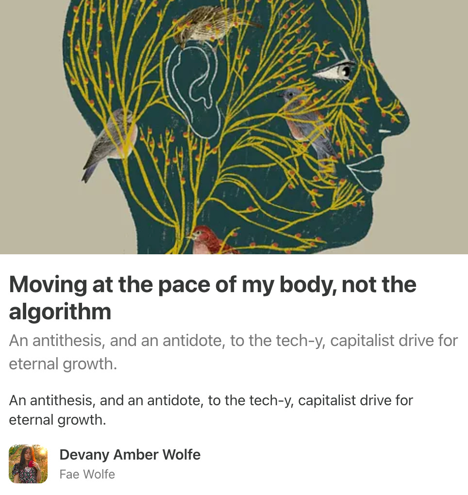 A simple illustration of a side profile of a person’s head. Flowers and birds cover the figure’s head. Text reads: “Moving at the pace of my body, not the algorithm: An antithesis, and an antidote, to the tech-y, capitalist drive for eternal growth.”  by Devany Amber Wolfe (Fae Wolfe)