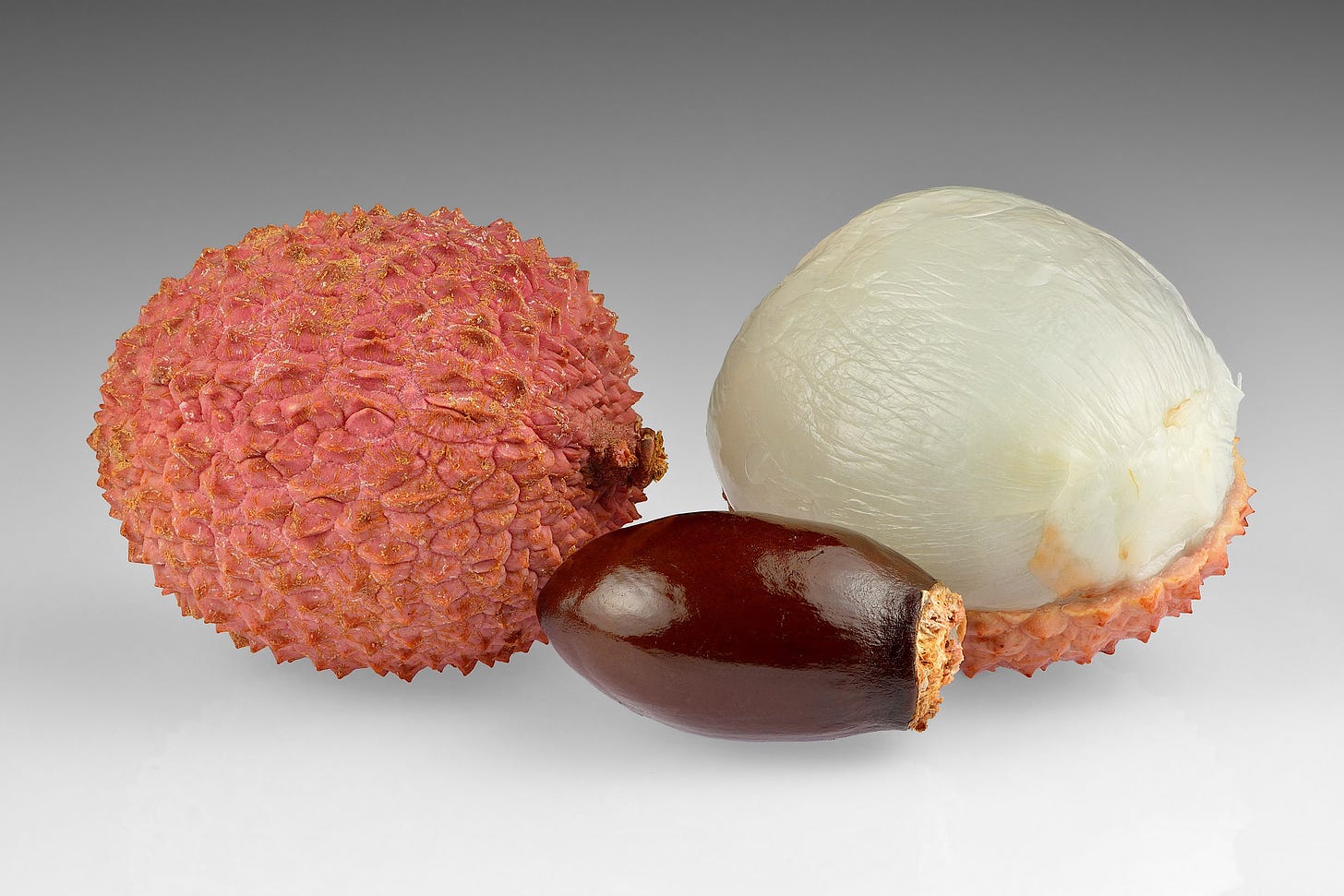 Lychee fruit has a tough exterior, soft white fruit flesh, and an inedible brown seed at the center. Fruit examples set against a grey background. Each component is represented.