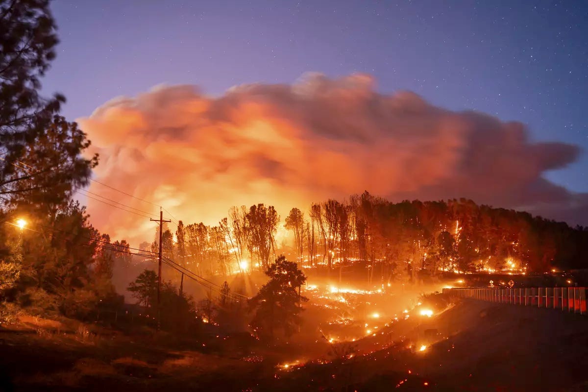 Trees alight and smoke rising against a dusky sky in the Park Fire of northern California.