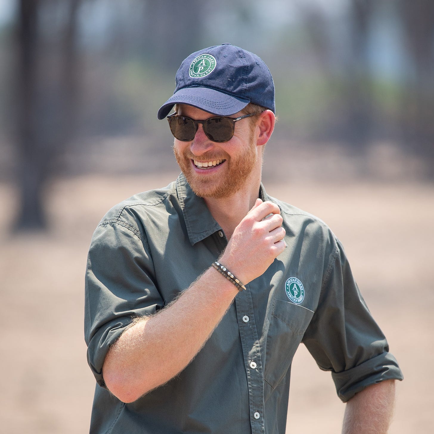 Prince Harry is appointed to African Park's Board of Directors | Tatler