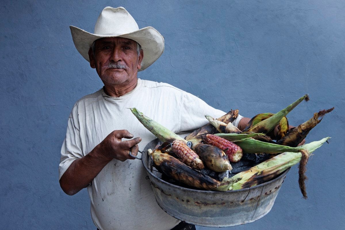 As the US Pressures Mexico to Import GM Corn, Can It Preserve Its  Traditional Varieties? | Civil Eats