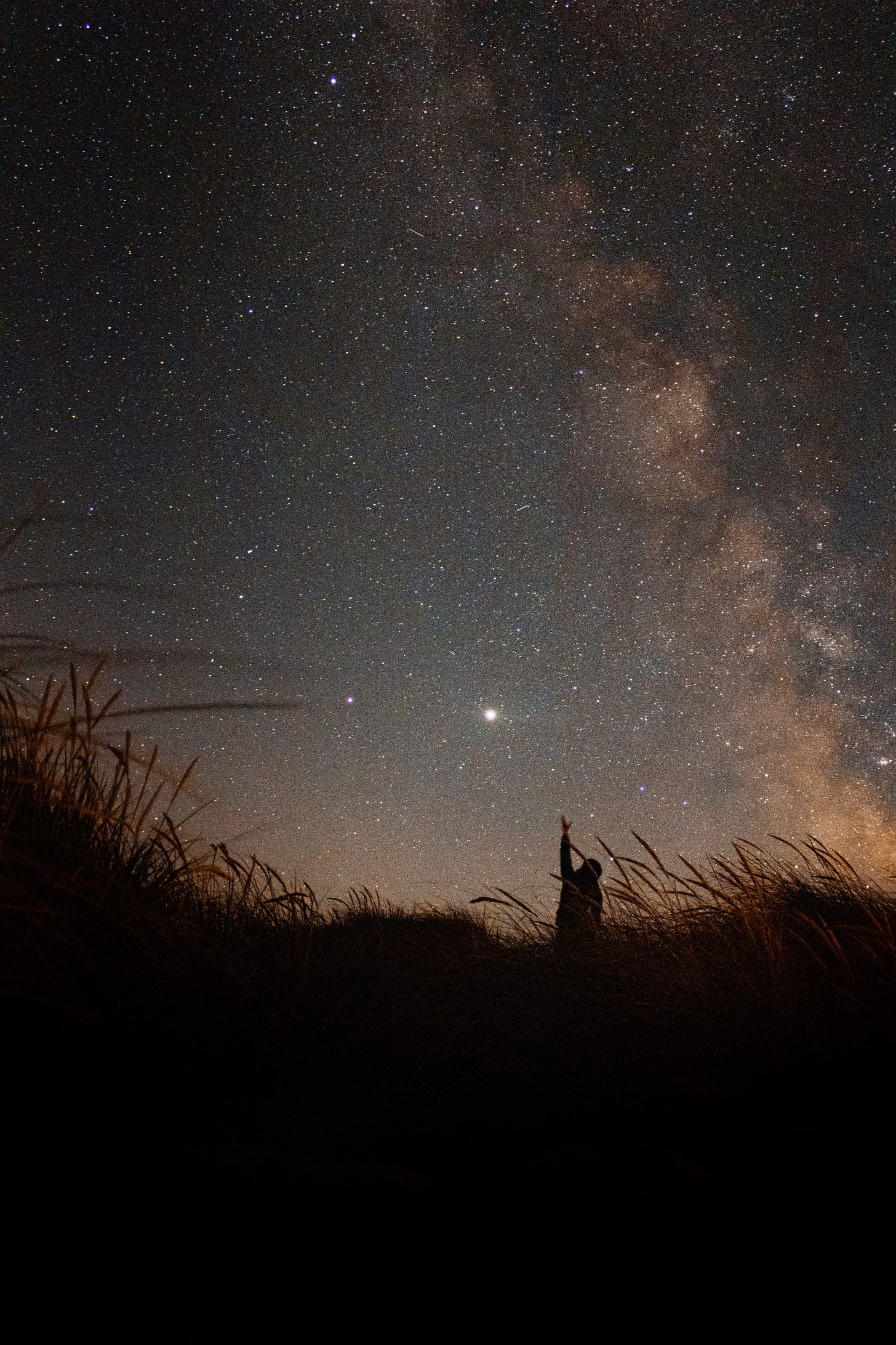 A photo of the night sky, including stars and the dusty stripe of the Milky Way. Silhouetted in the foreground is a person reaching one hand up towards the stars, while standing or sitting in a field of wheat.