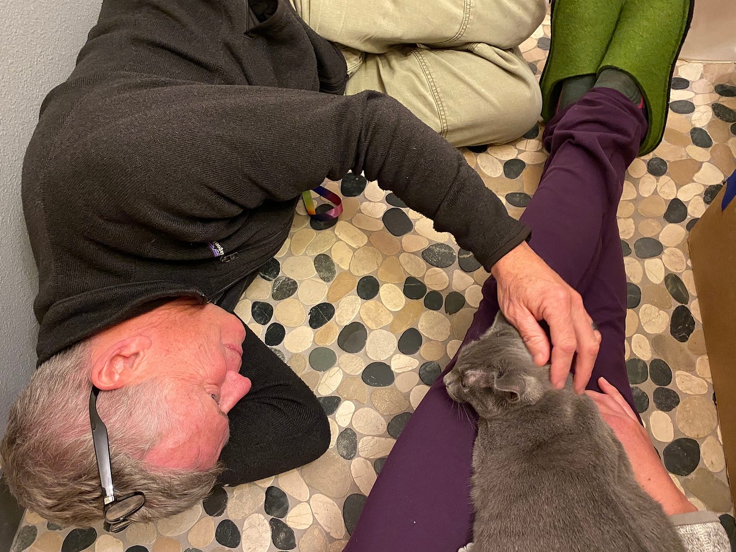 A view from above as a gray cat lays on the lap of a person wearing purple pants and a man lays on his side stroking the cats head.