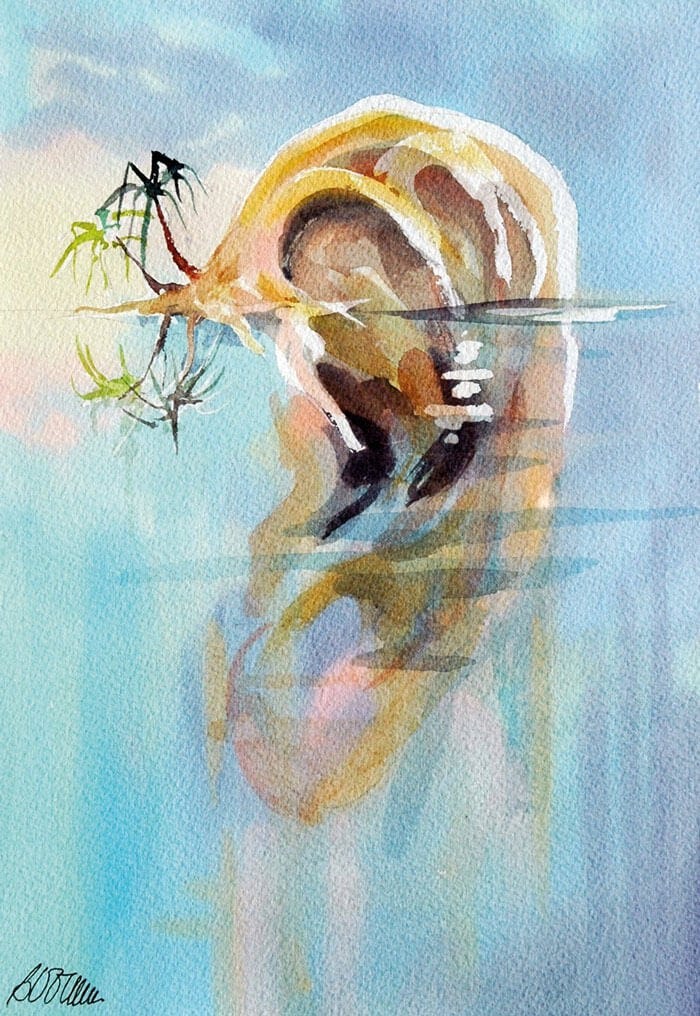 The outer ear in the visual arts | ENT & Audiology News