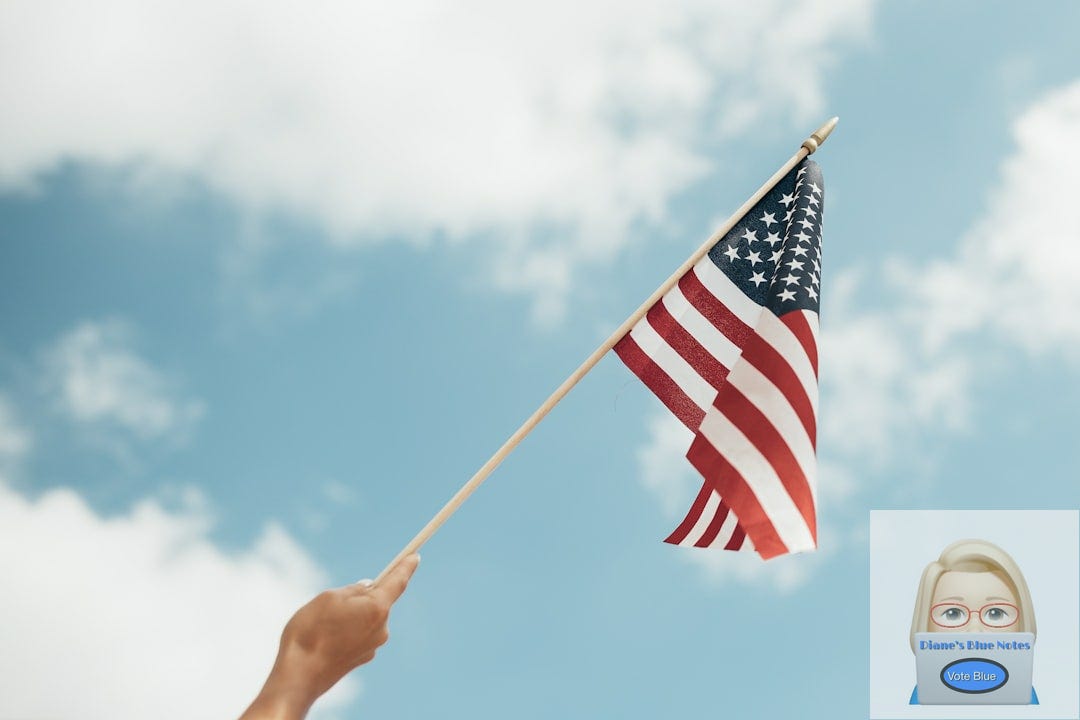 person holding U.S.A. flag