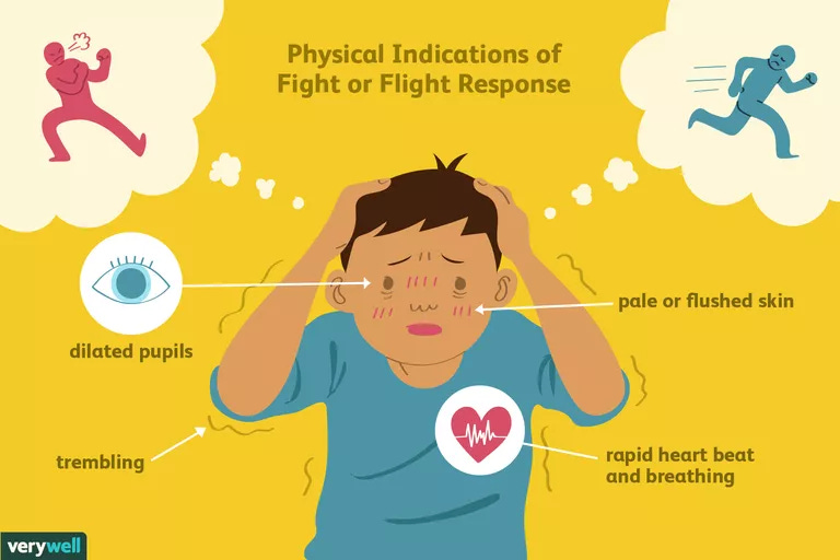 fight or flight response illustration