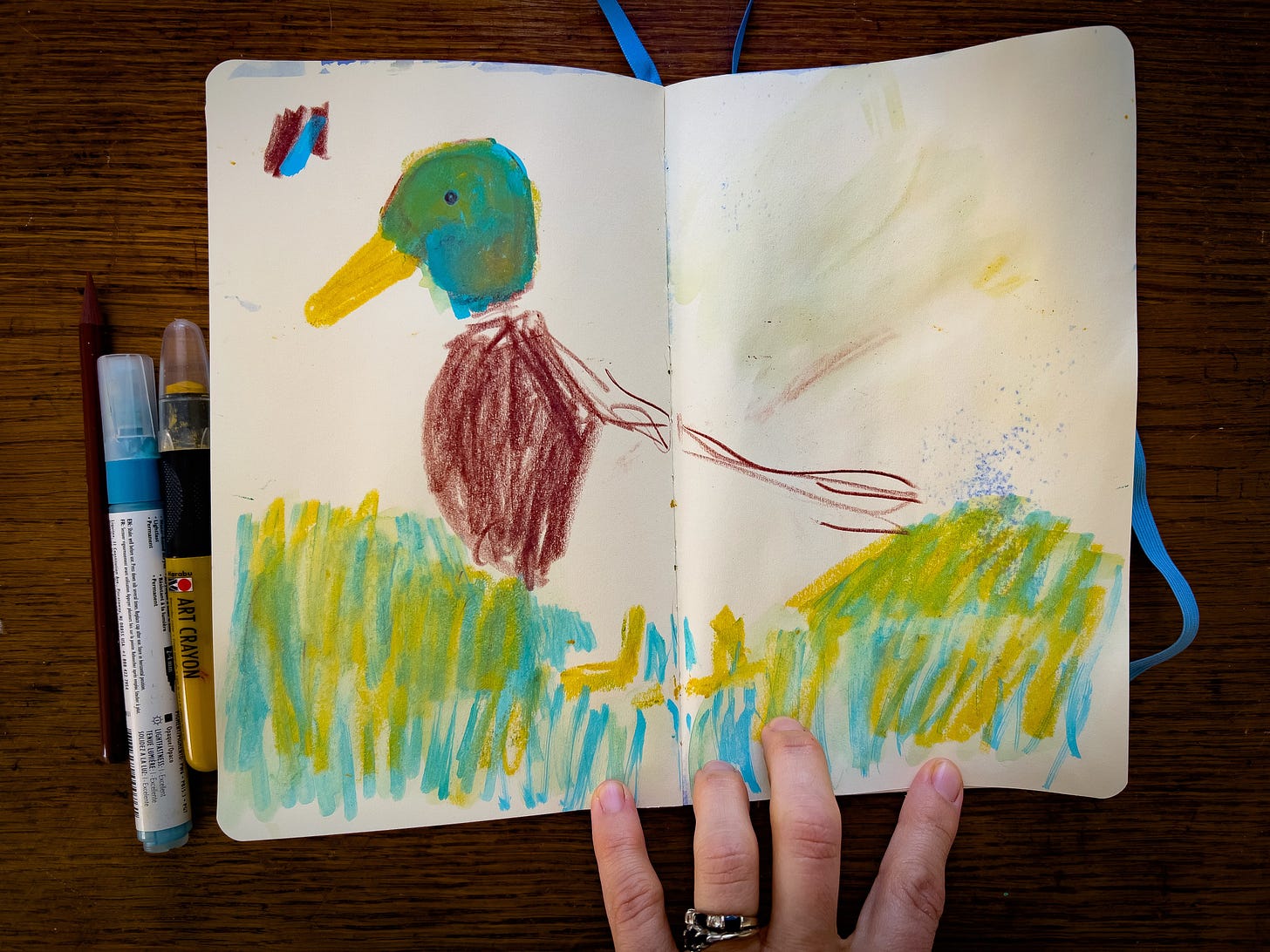 duck illustration by Beth Spencer