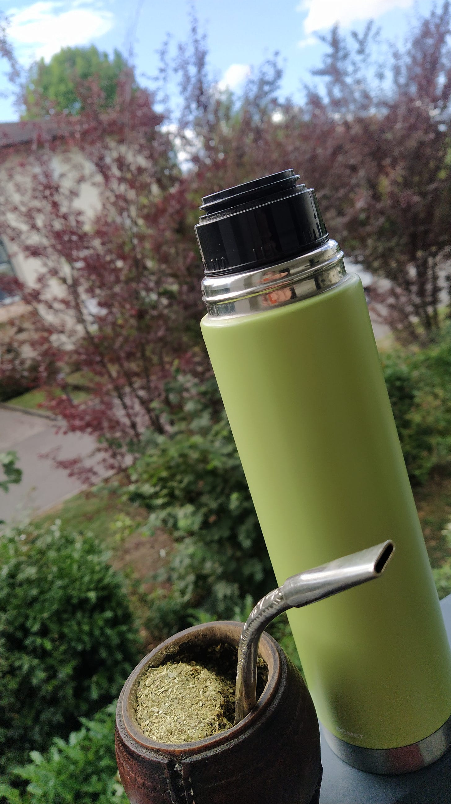 Mate gourd filled with yerba, with a metal straw sticking from it, besides a gree thermos. Trees and bushes in the background, as seen from my window. 